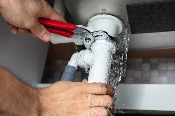 Best Water damage restoration near me  in Shoshone, ID