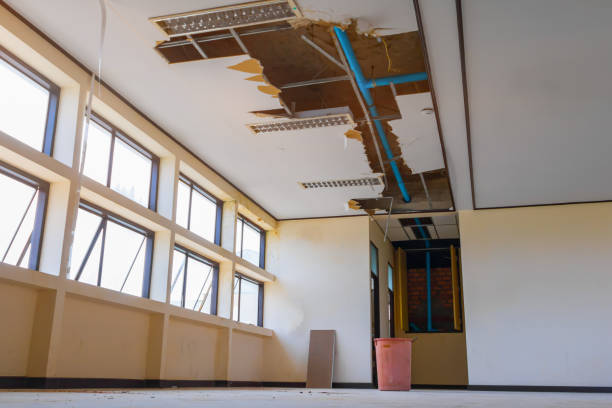 Water damage restoration mold remediation in Shoshone, ID