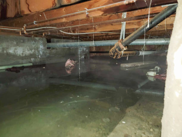 Best Sewage cleanup and water damage restoration  in Shoshone, ID