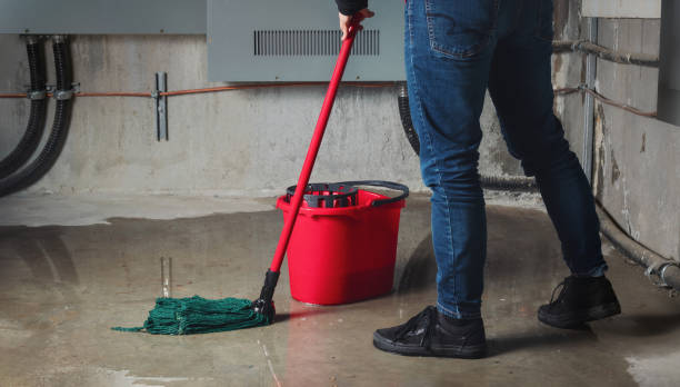 Best Carpet water damage restoration  in Shoshone, ID
