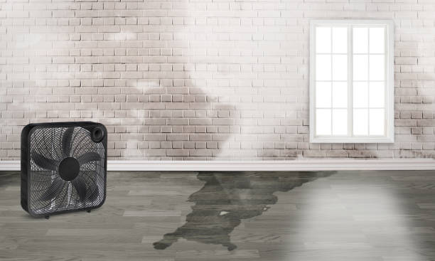 Best 24/7 water damage repair  in Shoshone, ID