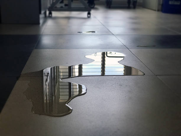 Professional Water damage restoration in Shoshone, ID
