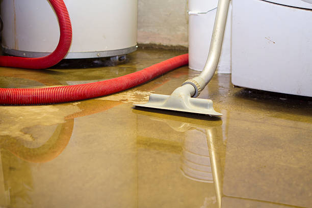 Best Flood restoration services  in Shoshone, ID