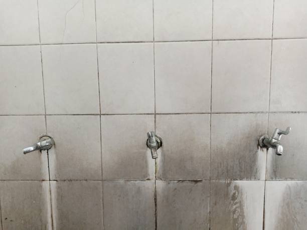 Best Water damage restoration experts  in Shoshone, ID
