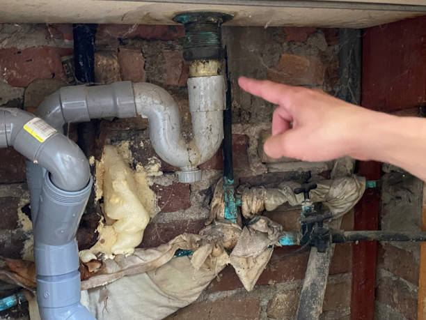 Best Basement water damage restoration  in Shoshone, ID