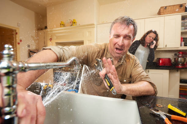 Best Water damage cleanup near me  in Shoshone, ID